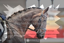 ref. photo 3501002