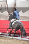 ref. photo 3501006