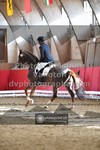 ref. photo 3501009