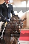 ref. photo 3501016