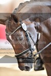 ref. photo 3501018