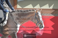 ref. photo 3501020