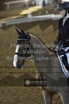 ref. photo 3501044