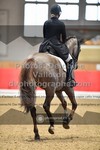 ref. photo 3501085