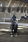 ref. photo 3501118
