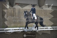 ref. photo 3501129