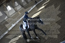 ref. photo 3501132