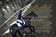 ref. photo 3501133