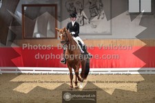 ref. photo 3501187