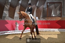 ref. photo 3501188