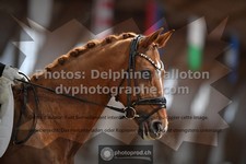ref. photo 3501189