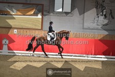ref. photo 3501202