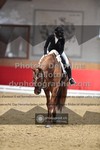 ref. photo 3501210