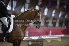 ref. photo 3501220