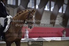ref. photo 3501221