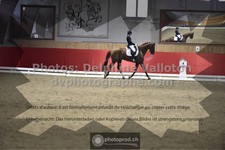 ref. photo 3501222