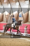 ref. photo 3501229