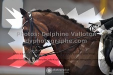 ref. photo 3501249