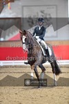 ref. photo 3501258