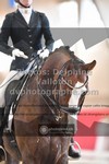 ref. photo 3501261
