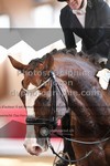 ref. photo 3501264