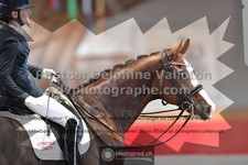 ref. photo 3501265