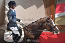 ref. photo 3501266