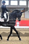 ref. photo 3501269