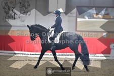 ref. photo 3501284