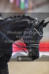 ref. photo 3501313