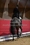 ref. photo 3501317