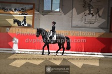 ref. photo 3501334