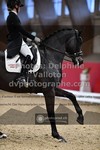 ref. photo 3501341