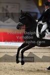 ref. photo 3501342