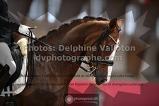 ref. photo 3501373