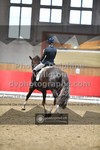 ref. photo 3501375