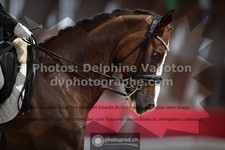 ref. photo 3501377