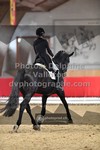 ref. photo 3501412