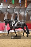 ref. photo 3501417