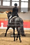ref. photo 3501422