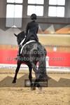ref. photo 3501423