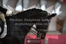 ref. photo 3501433