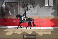 ref. photo 3501434