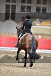 ref. photo 3501466