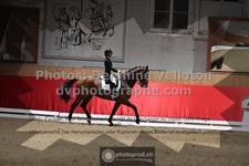 ref. photo 3501467