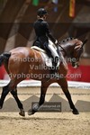 ref. photo 3501478