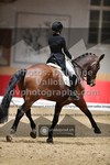 ref. photo 3501479