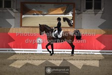 ref. photo 3501481