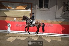 ref. photo 3501492