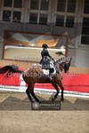 ref. photo 3501512